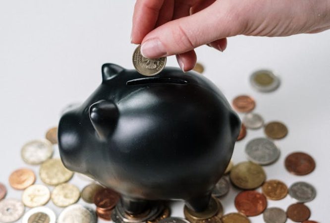 Person Putting Coin in a Piggy Bank