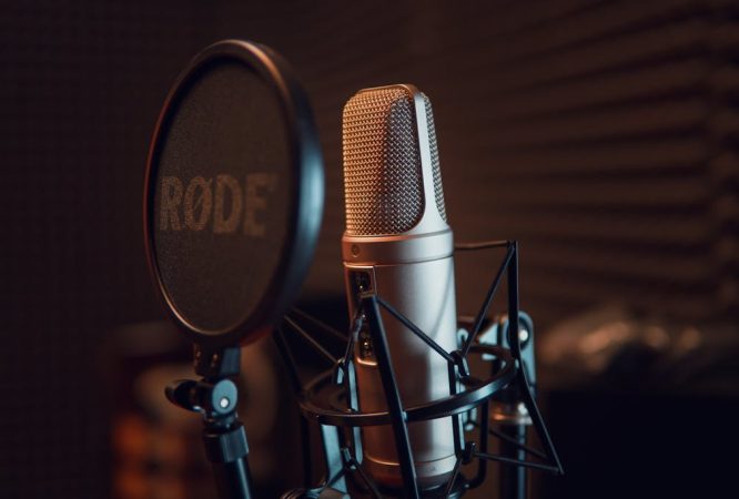 Silver Dynamic Microphone on Black Microphone Stand